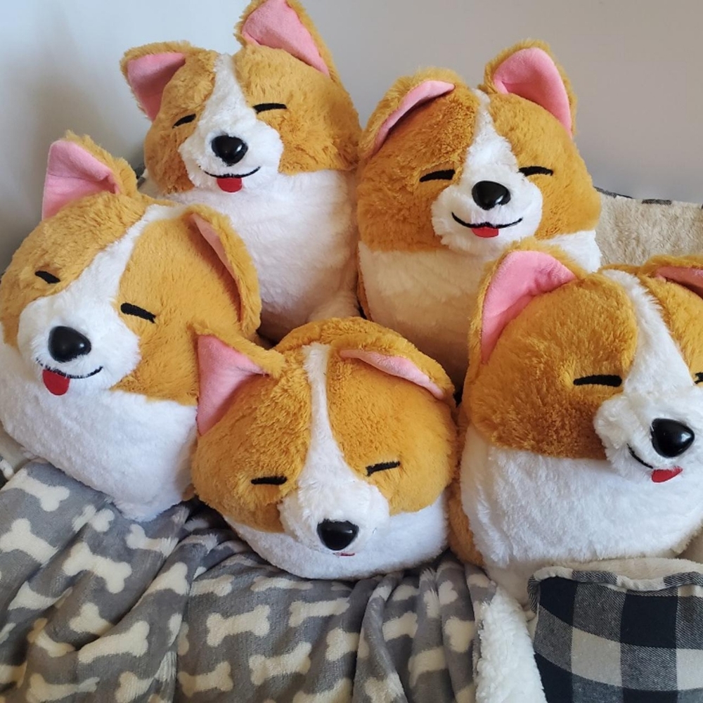 Cute Silly Plush Welsh Corgi